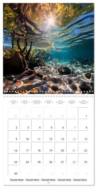 Produktbild: Beside tropical beaches (Wall Calendar 2026 12 &times; 12 Inch) CALVENDO 12 Month Wall Calendar