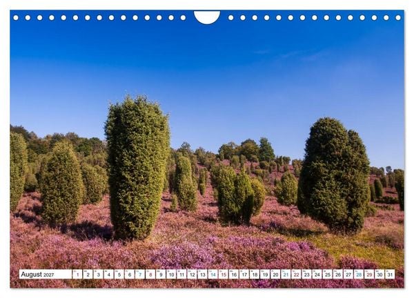 Produktbild: L&uuml;neburger Heide &ndash; Im Wandel der Jahreszeiten (Wandkalender 2027 DIN A4 quer), CALVENDO Monatskalender