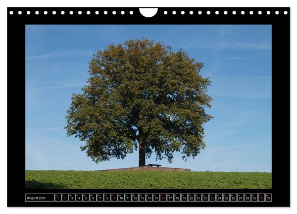 Produktbild: Odenwald - Landschaft sehen (Wandkalender 2026 DIN A4 quer), CALVENDO Monatskalender