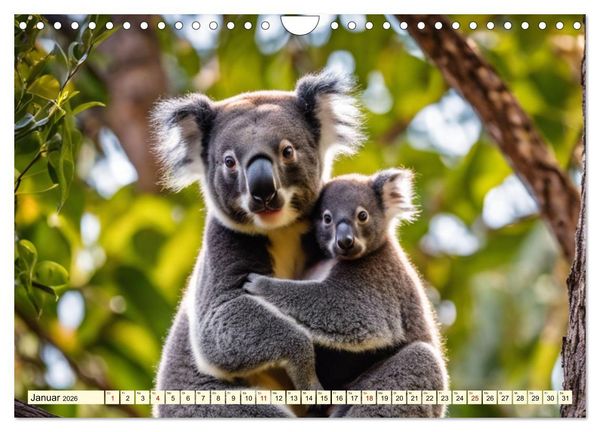 Produktbild: Australiens faszinierende Fauna (Wandkalender 2026 DIN A4 quer), CALVENDO Monatskalender