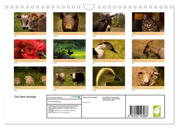 Produktbild: Our farm animals (Wall Calendar 2026 DIN A4 landscape), CALVENDO 12 Month Wall Calendar