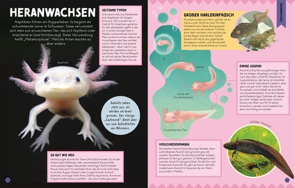 Seltsame Tiere, die es wirklich gibt