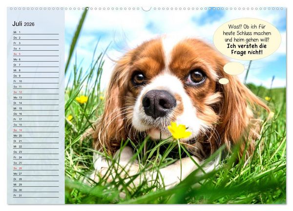 Produktbild: Hurra! Wir gehen Gassi! Abenteuer mit dem Hund! (Wandkalender 2026 DIN A2 quer), CALVENDO Monatskalender