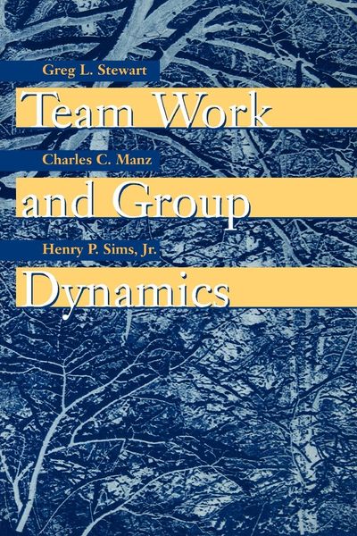 Produktbild: Team Work and Group Dynamics