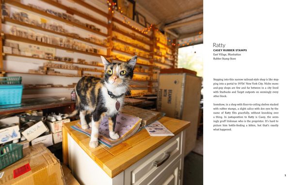 Produktbild: Shop Cats of New York (Revised and Expanded)