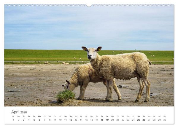 Produktbild: Nordfriesland - wundersch&ouml;ne Westk&uuml;ste (hochwertiger Premium Wandkalender 2026 DIN A2 quer), Kunstdruck in Hochglanz