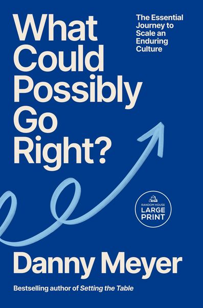 Produktbild: What Could Possibly Go Right?