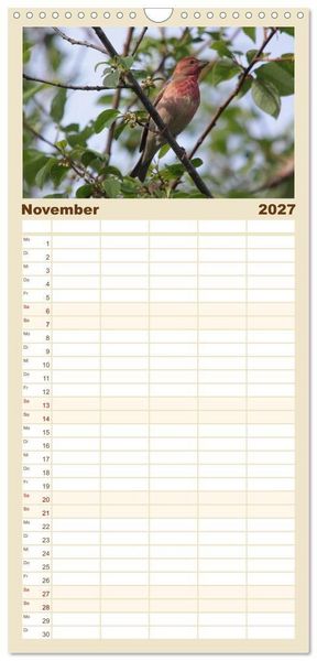 Produktbild: Familienplaner 2027 - V&ouml;gel ganz nah mit 5 Spalten (Wandkalender, 21 x 45 cm) CALVENDO