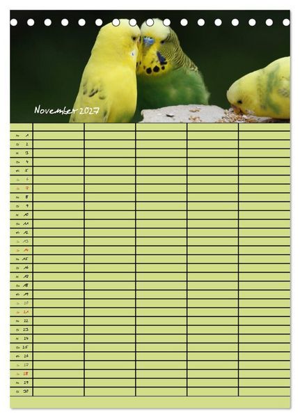 Produktbild: Der Wellensittich-Familienplaner (Tischkalender 2027 DIN A5 hoch), CALVENDO Monatskalender