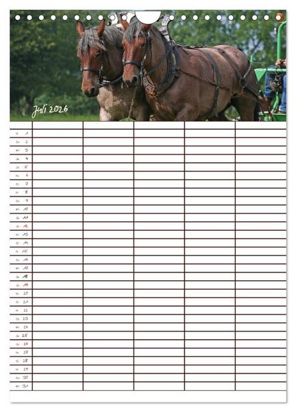 Produktbild: Der Kaltblut-Familienplaner (Wandkalender 2026 DIN A4 hoch), CALVENDO Monatskalender