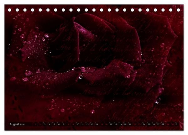 Produktbild: Gothic Rose - Rosen aus dem Garten der Finsternis (Tischkalender 2026 DIN A5 quer), CALVENDO Monatskalender