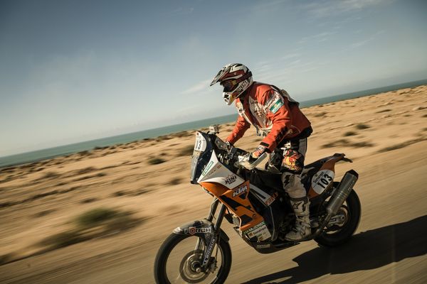Africa Race - Zwei Brüder zwischen Paris und Dakar [2 DVDs]