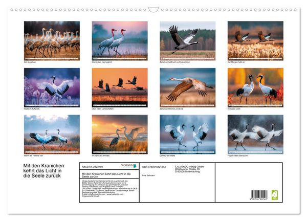 Produktbild: Mit den Kranichen kehrt das Licht in die Seele zur&uuml;ck (Wandkalender 2027 DIN A2 quer), CALVENDO Monatskalender