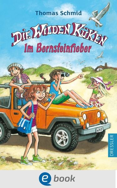 Produktbild: Die Wilden K&uuml;ken 9. Im Bernsteinfieber