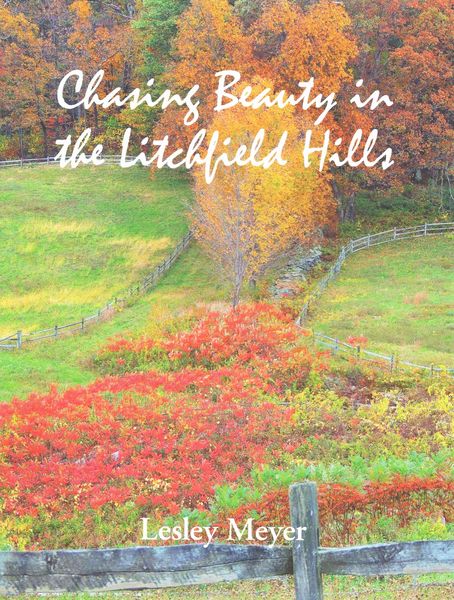 Produktbild: Chasing Beauty in The Litchfie
