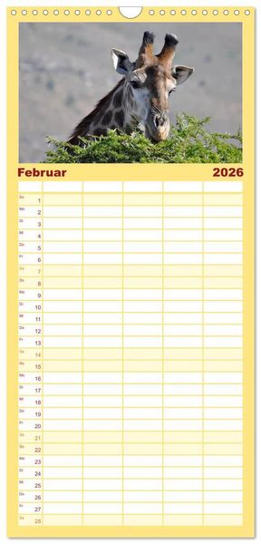 Produktbild: Familienplaner 2026 - S&uuml;dafrika - Big 5 und mehr mit 5 Spalten (Wandkalender, 21 x 45 cm) CALVENDO