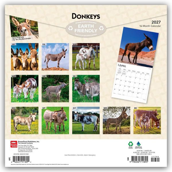Produktbild: Donkeys &ndash; Esel 2027 &ndash; 16-Monatskalender