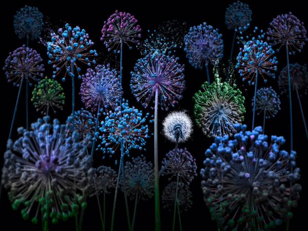 Produktbild: CALVENDO Puzzle Allium fantasia | 1000 Teile Lege-Gr&ouml;&szlig;e 64x48cm Foto-Puzzle f&uuml;r gl&uuml;ckliche Stunden