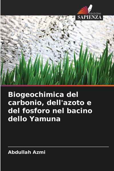 Produktbild: Biogeochimica del carbonio, dell'azoto e del fosforo nel bacino dello Yamuna