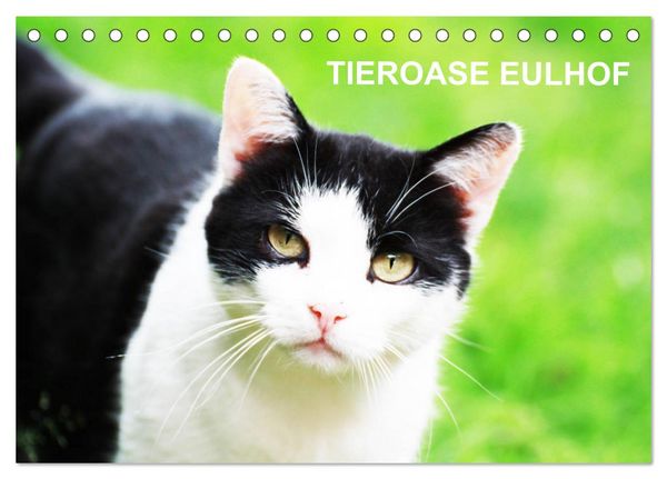Produktbild: Eulhof (Tischkalender 2026 DIN A5 quer), CALVENDO Monatskalender