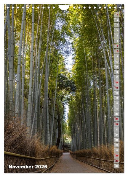 Produktbild: THE MAGIC OF JAPAN Charming impressions (Wall Calendar 2026 DIN A4 portrait), CALVENDO 12 Month Wall Calendar