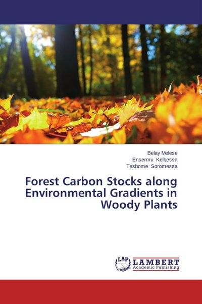 Produktbild: Forest Carbon Stocks along Environmental Gradients in Woody Plants
