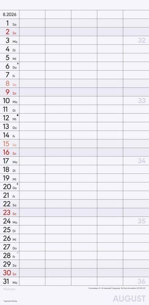 Produktbild: Superplaner L 2026 5 Spalten - Familien-Timer 22x45 cm - Offset-Papier - mit Ferienterminen - Wand-Planer - Familienkalender - Alpha Edition