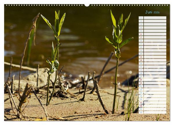 Produktbild: Zwischen Harz und Meer (hochwertiger Premium Wandkalender 2026 DIN A2 quer), Kunstdruck in Hochglanz