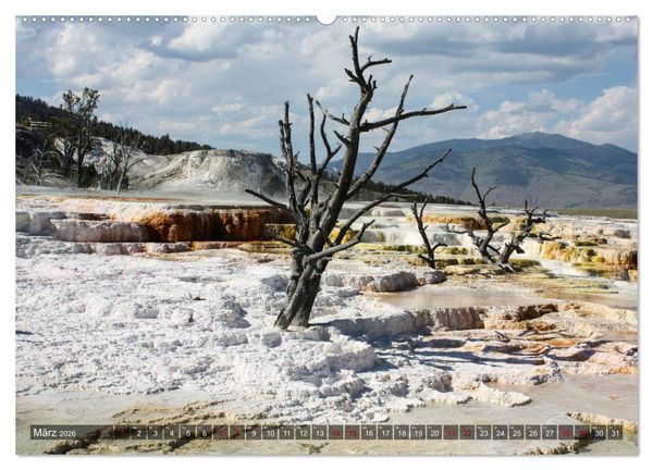 Produktbild: Farben des Yellowstone National Park 2026 (Wandkalender 2026 DIN A2 quer), CALVENDO Monatskalender