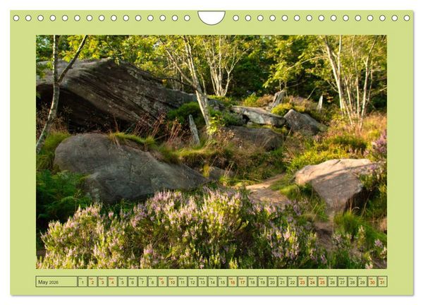 Produktbild: Wonderful Black Forest (Wall Calendar 2026 DIN A4 landscape), CALVENDO 12 Month Wall Calendar