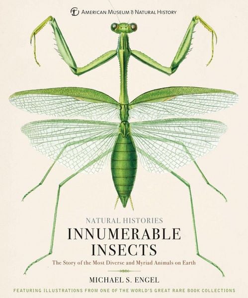 Produktbild: Innumerable Insects