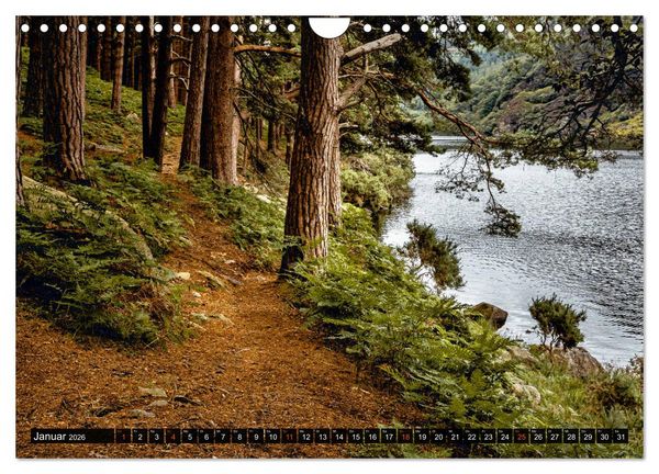 Produktbild: Irland-Liebe (Wandkalender 2026 DIN A4 quer), CALVENDO Monatskalender