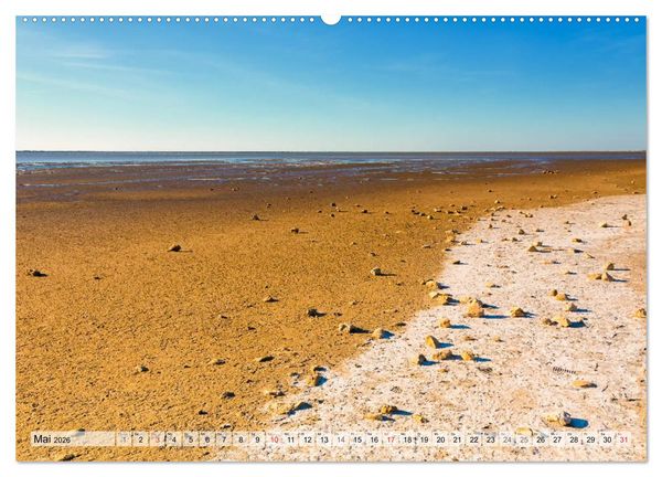 Produktbild: Camargue - Der wilde S&uuml;den Frankreichs (hochwertiger Premium Wandkalender 2026 DIN A2 quer), Kunstdruck in Hochglanz