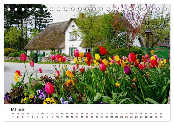 Produktbild: Insel Amrum - Ein Juwel unterm norddeutschen Himmel (Tischkalender 2026 DIN A5 quer), CALVENDO Monatskalender