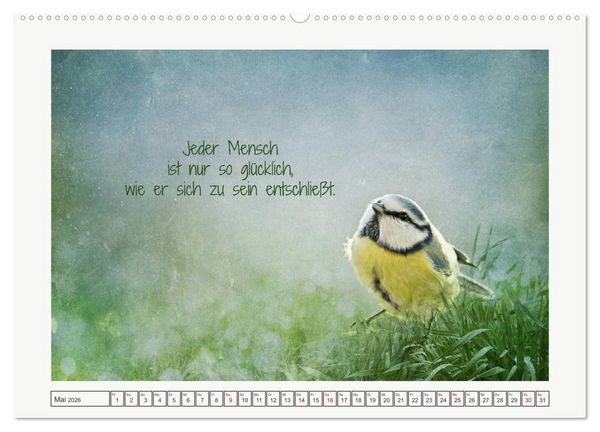 Produktbild: Irische Segensw&uuml;nsche (Wandkalender 2026 DIN A2 quer), CALVENDO Monatskalender