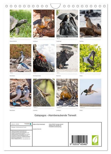 Produktbild: Galapagos - Atemberaubende Tierwelt (Wandkalender 2026 DIN A4 hoch), CALVENDO Monatskalender