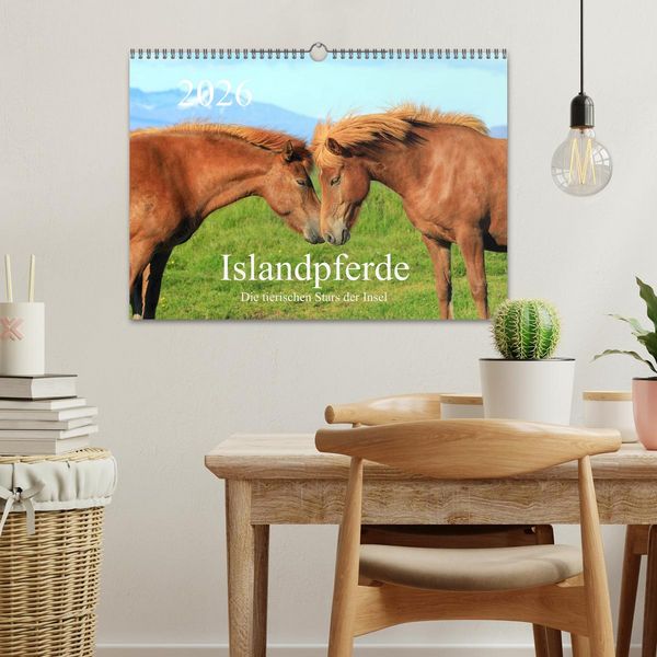 Produktbild: Islandpferde - Die tierischen Stars der Insel (Wandkalender 2026 DIN A3 quer), CALVENDO Monatskalender