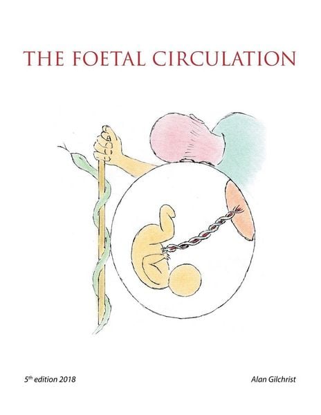 Produktbild: The Foetal Circulation