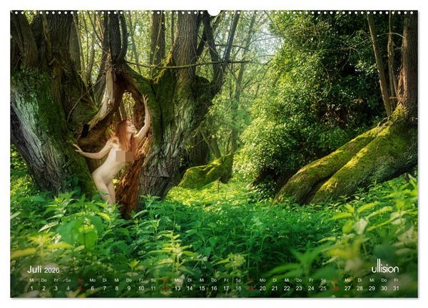 Produktbild: ZAUBERWALD Mystik der Natur (hochwertiger Premium Wandkalender 2026 DIN A2 quer), Kunstdruck in Hochglanz