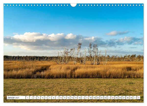 Produktbild: Mecklenburg-Vorpommern - Fischland-Dar&szlig;-Zingst (Wandkalender 2027 DIN A3 quer), CALVENDO Monatskalender
