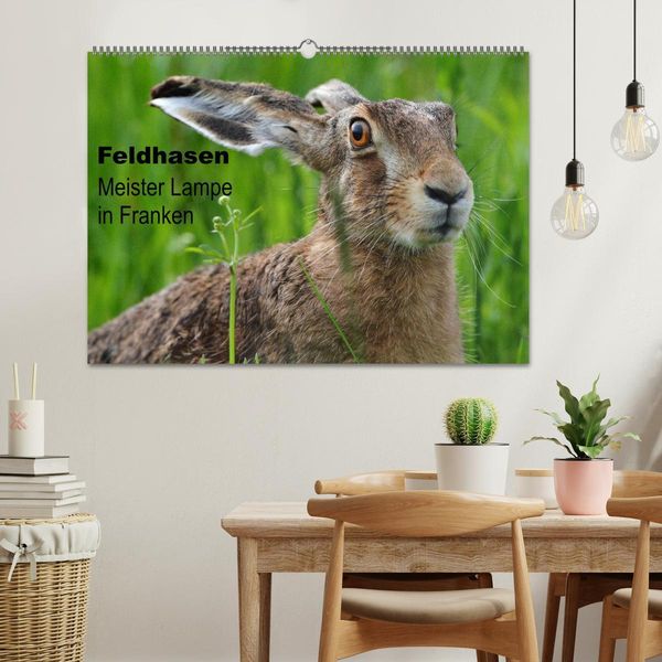 Produktbild: Feldhasen - Meister Lampe in Franken (Wandkalender 2026 DIN A2 quer), CALVENDO Monatskalender