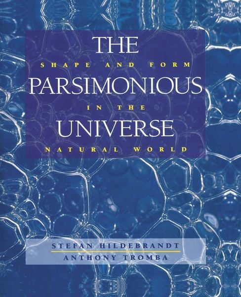 Produktbild: The Parsimonious Universe