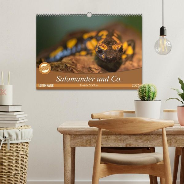 Produktbild: Salamander und Co. (Wandkalender 2026 DIN A3 quer), CALVENDO Monatskalender