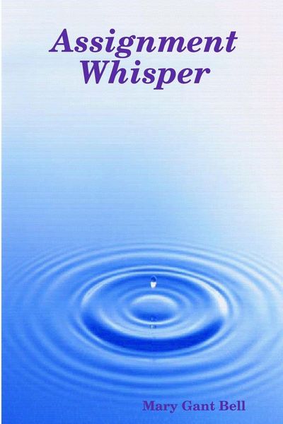 Produktbild: Assignment Whisper