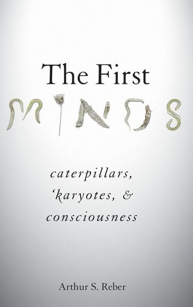 Produktbild: First Minds
