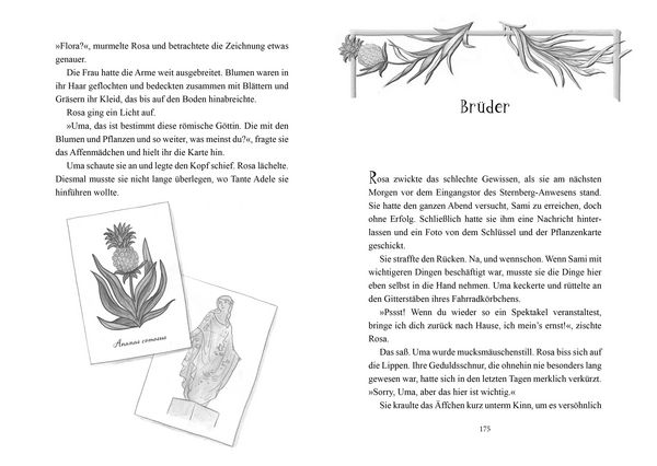 Produktbild: Das Glashaus-Geheimnis