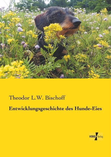 Produktbild: Entwicklungsgeschichte des Hunde-Eies