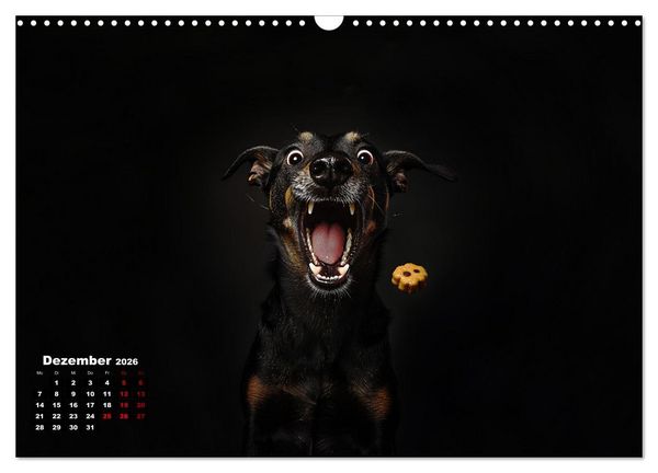 Produktbild: Leckerchen! (Wandkalender 2026 DIN A3 quer), CALVENDO Monatskalender