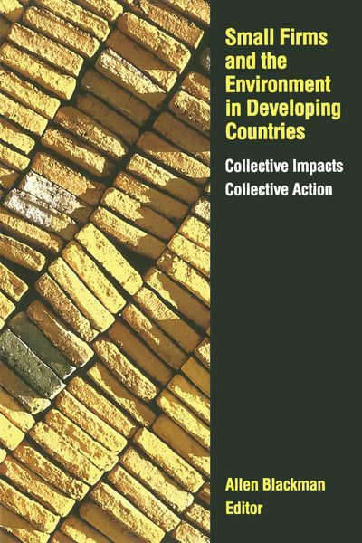 Produktbild: Small Firms and the Environment in Developing Countries