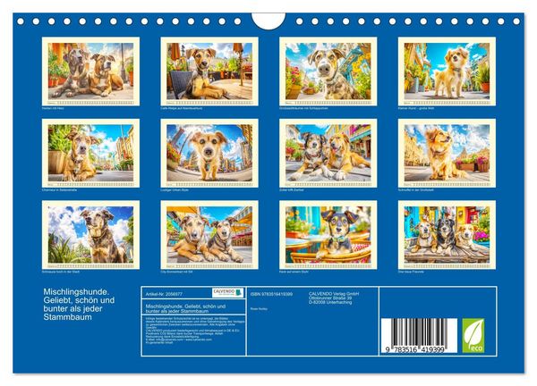 Produktbild: Mischlingshunde. Geliebt, sch&ouml;n und bunter als jeder Stammbaum (Wandkalender 2026 DIN A4 quer), CALVENDO Monatskalender